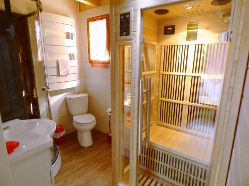 西塞河畔的舒齐La Rossignolerie - Gîte des châteaux的一间带卫生间和淋浴的小浴室