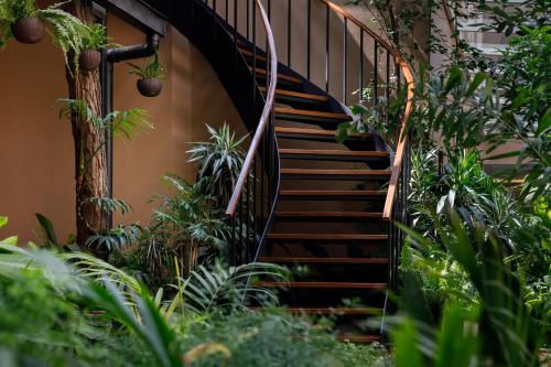 加德满都Hotel Thrive, A Tropical Courtyard的植物丛中的螺旋楼梯
