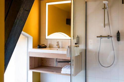 科尔马Ibis Styles Colmar Centre的一间带水槽和淋浴的浴室