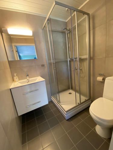 KnapplundSaltstraumen Hotels Hytter的带淋浴、卫生间和盥洗盆的浴室