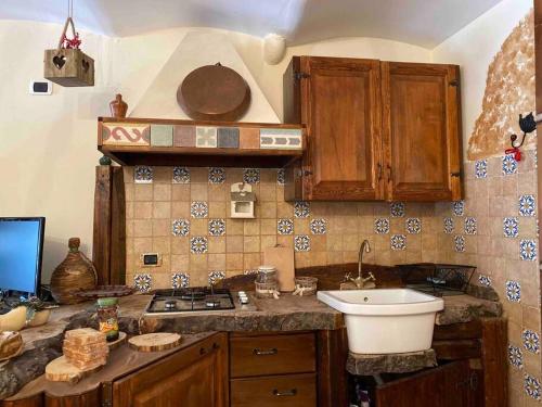 AteletaCasa Pet-Friendly ad Ateleta的厨房配有水槽和炉灶 顶部烤箱