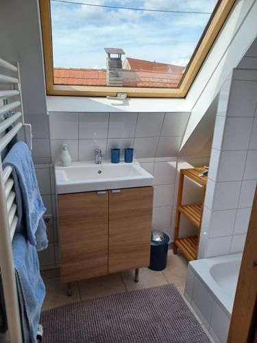 施泰滕Giebelzimmer mit Weinbergblick的一间带水槽和天窗的浴室