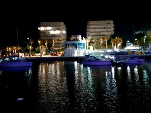 圣萨尔沃Civico 26 T的一群船在晚上停靠在码头