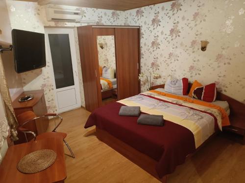 马热伊基艾Rugelis的卧室配有一张床,墙上配有电视。
