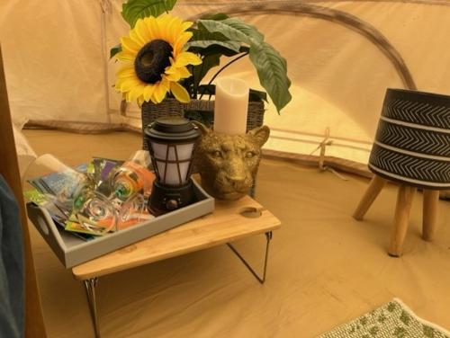 波尔顿乐法尔德Betrice Bell Tent的一张桌子,上面有植物和一个花瓶