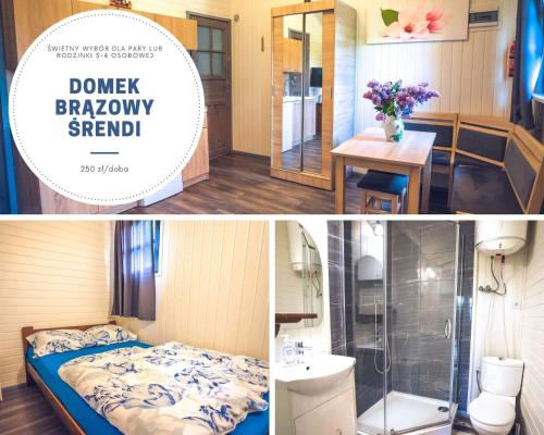 茨兹伊特纳Domek Skowronek的客房设有一张床、淋浴和一间浴室。