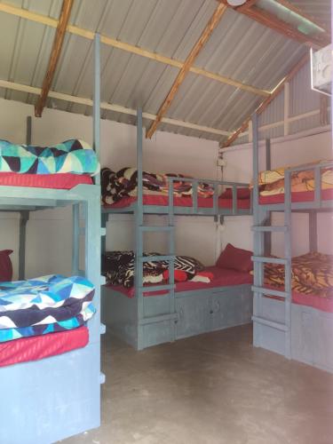 马拉里Last Stop Riverside wooden Huts, Camps & Dorms的房屋内带三张双层床的房间