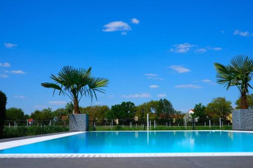 朗斯多夫Pool Sauna Entspannung的一座种植了棕榈树的蓝色游泳池