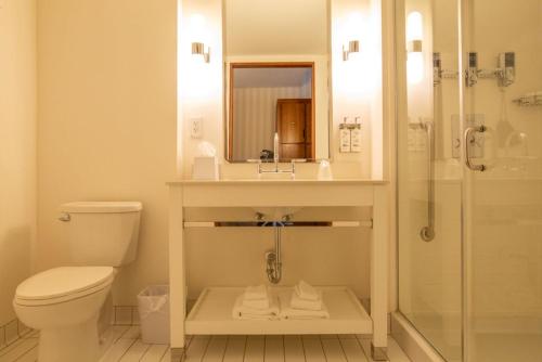 哥伦布Holiday Inn Express Columbus Airport Easton的浴室配有卫生间、盥洗盆和淋浴。