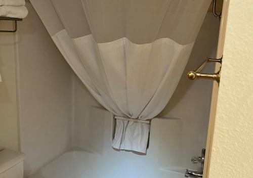 布兰森Ballparks Inn的浴室内白色的淋浴帘和水槽