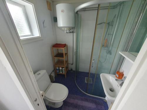 StockaMysig lägenhet för resande的带淋浴、卫生间和盥洗盆的浴室