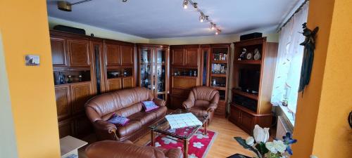 IlijašVila Biba - Ilijas的客厅配有真皮沙发和桌子