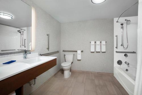 查尔斯顿查尔斯顿 - 市政中心智选假日酒店的浴室配有盥洗盆、卫生间和浴缸。
