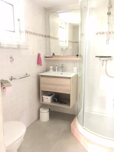 格朗德康迈西Le Tilburg的一间带水槽、卫生间和淋浴的浴室