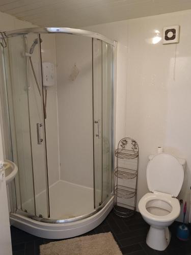 格拉斯哥Guest House Private Room near Glasgow City Centre St George's Rd的带淋浴和卫生间的浴室