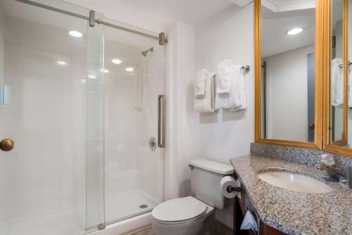 大急流城Clarion Inn and Suites Airport的带淋浴、卫生间和盥洗盆的浴室