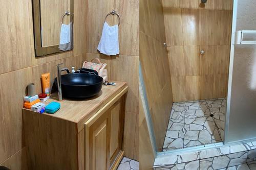 伊基托斯Ceiba Amazon Lodge的一间带水槽和淋浴的小浴室