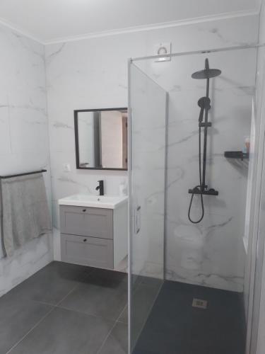 Faja GrandeCasa Bidarta的一间带玻璃淋浴和水槽的浴室