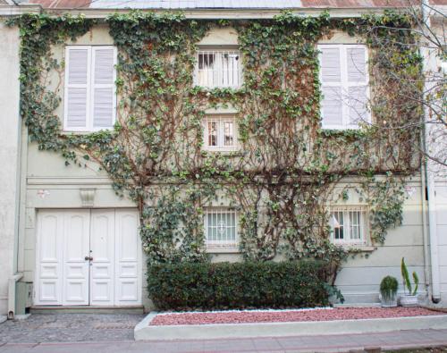 圣地亚哥Casa Ribera Hotel Providencia的常春藤覆盖的房子,设有白色的门窗