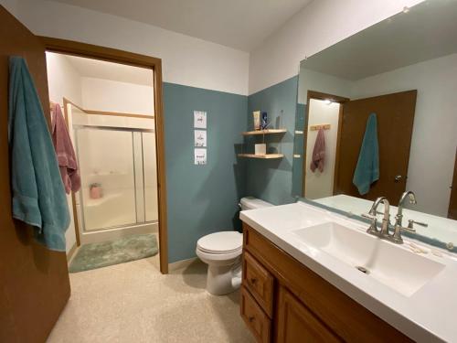 McGrathMcGrath Roadhouse的一间带水槽、卫生间和淋浴的浴室