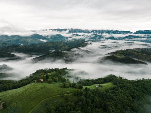 莫伊西德约斯StockEstate Moieciu的享有绿色山谷的空中景色,云雾和树木