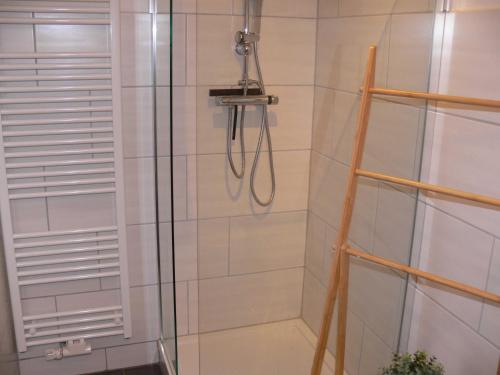 什未林Stilvolle Ferienwohnungen im Zentrum von Schwerin的浴室内带软管的淋浴