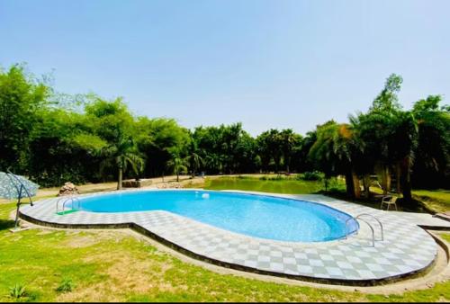 BelparāoLohagarh Corbett Resort的一座大游泳池,位于一个树木繁茂的庭院内