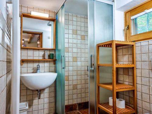 博维茨Jakob Cabin的一间带水槽和镜子的浴室