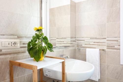 奥尔比亚Sardegna è - New Rooms的一个带水槽和台面植物的浴室