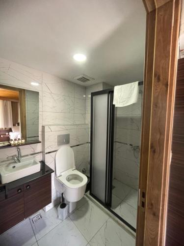 伊斯坦布尔Gold Corner Hotel的浴室配有卫生间、盥洗盆和淋浴。