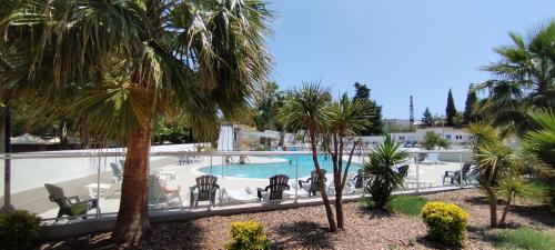 阿格德Camping Parc des 7 Fonts的享有棕榈树游泳池的景色