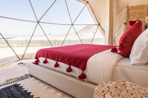 达赫拉Desert Sands Dakhla的一张位于带大窗户的房间内的床铺