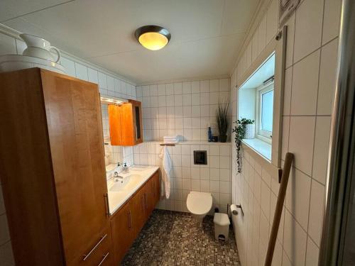Enesi holiday house的一间带水槽和卫生间的浴室