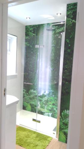 米查姆London luxury en-suite double room, private door, park free, tram, tube!的带淋浴的浴室(铺有绿色地毯)