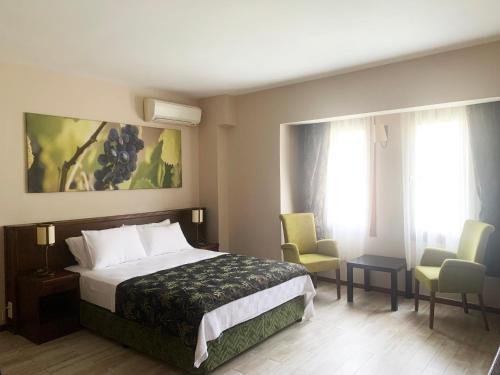 博兹贾阿达岛神话酒店的酒店客房,配有一张床和两把椅子