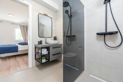 Donje SeloVilla Molaris的带淋浴、盥洗盆和镜子的浴室
