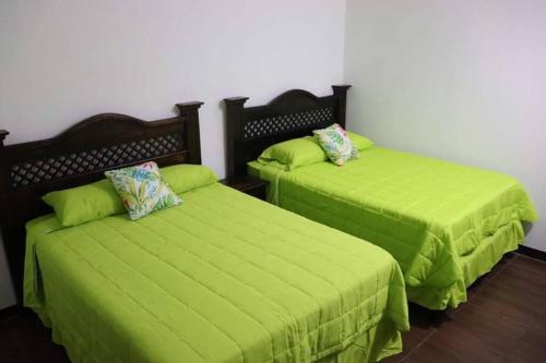 IztapaCasa Elohim的客房内的两张床和绿色床单