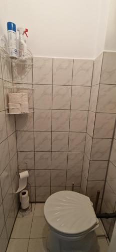 巴拉顿菲赖德Napfényes apartman的一间带卫生间的浴室和白色瓷砖墙