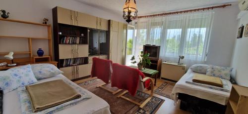 巴拉顿菲赖德Napfényes apartman的客厅配有一张床和一把椅子
