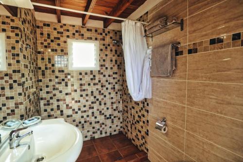 伊科德洛斯维诺斯Finca Vino Tinto 1的一间带水槽和淋浴的浴室