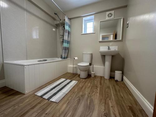 索尔兹伯里Barchester House Apartments Delux的浴室配有盥洗盆、卫生间和盥洗盆。