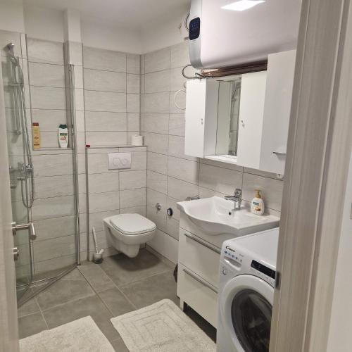 萨格勒布Apartman Maksimirska 89 Zagreb的浴室配有卫生间水槽和洗衣机。