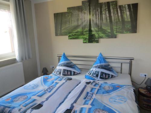 施内贝格Ferienwohnung Beck Schneeberg的一张带蓝色和白色枕头的床