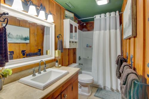 卢尔湖Cabin in Lake Lure Near Chimney Rock and Asheville!的一间带水槽、卫生间和淋浴的浴室