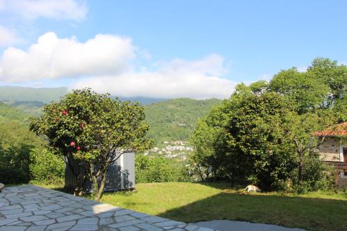 Anilio PelionCamellia Guesthouse的享有花园的背景山景。