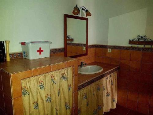 La AulagaCasa Rural Paraiso de Emilia的一间带水槽和镜子的浴室