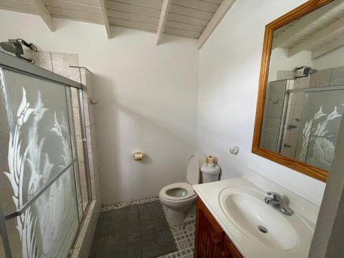 金斯敦Thomas Apartment Inc的一间带水槽和卫生间的浴室