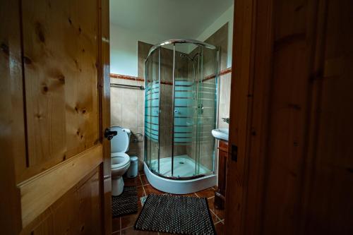 锡比乌Rustic Cottage的一间带玻璃淋浴和卫生间的浴室