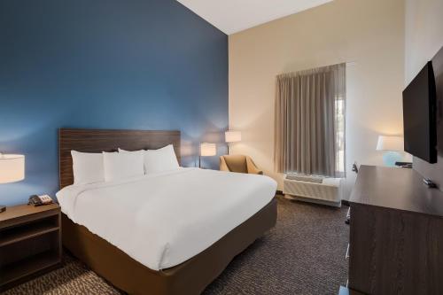 萨尔弗La Quinta Inn & Suites by Wyndham Sulphur Lake Charles的酒店客房设有一张大床和一台电视机。