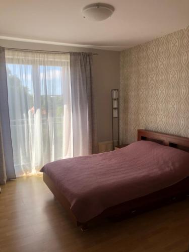 克莱佩达Vezas Apartment 3beds的一间卧室设有一张床和一个大窗户